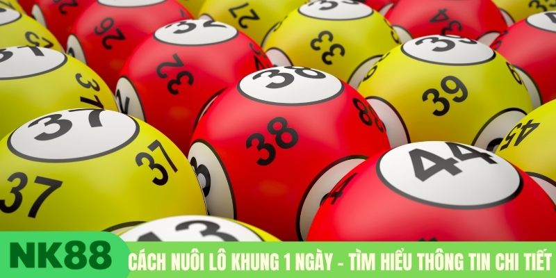 Cách nuôi lô khung 1 ngày - Tìm hiểu thông tin chi tiết