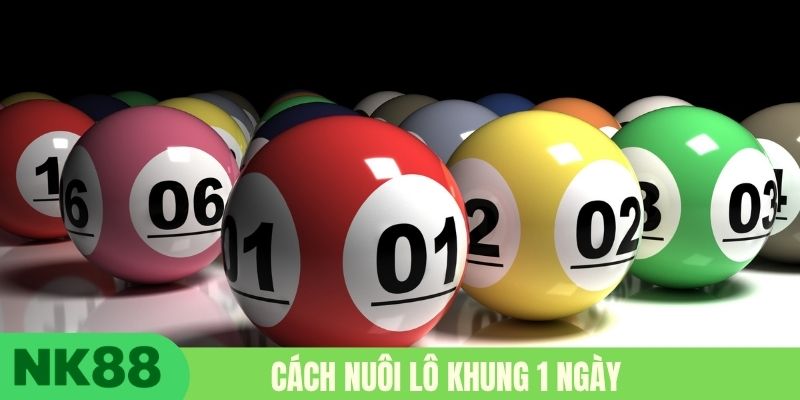 Cách nuôi lô khung 1 ngày