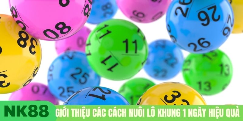 Giới thiệu các cách nuôi lô khung 1 ngày hiệu quả 