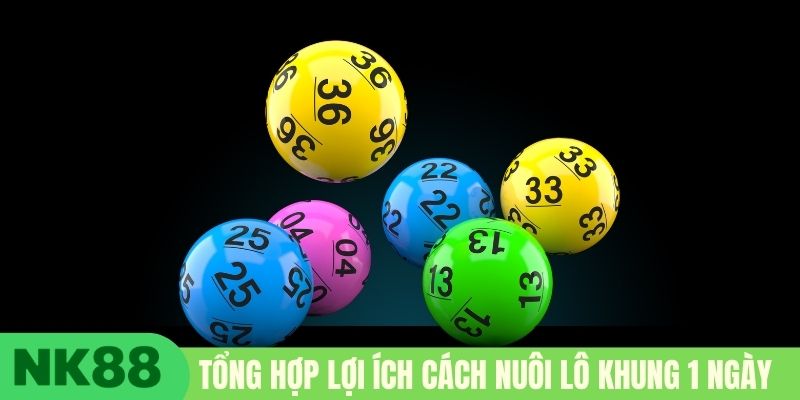 Tổng hợp lợi ích cách nuôi lô khung 1 ngày 